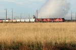 CP NB grain train